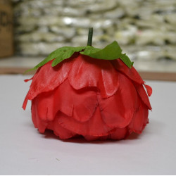 Red Peony Heads Closed - Pack of 10