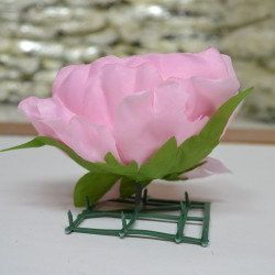 Pink Closed Peony Heads - Pack of 10