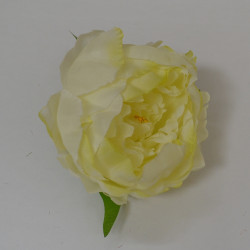 Light Green Peony Heads Closed - Pack of 10