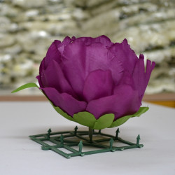 Purple Peony Heads Closed - Pack of 10