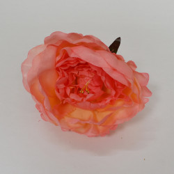 Burnt Orange Peony Heads Closed - Pack of 10
