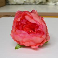 Orange Peony Heads Closed - Pack of 10
