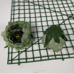 Dark Green Peony Heads Closed - Pack of 10